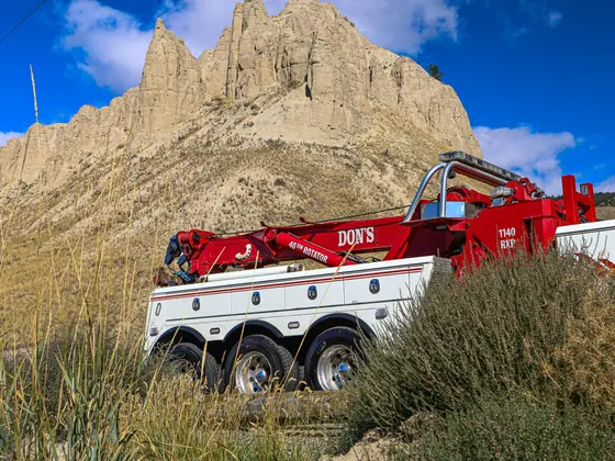 Red DON'S rotator boom rising above the brush